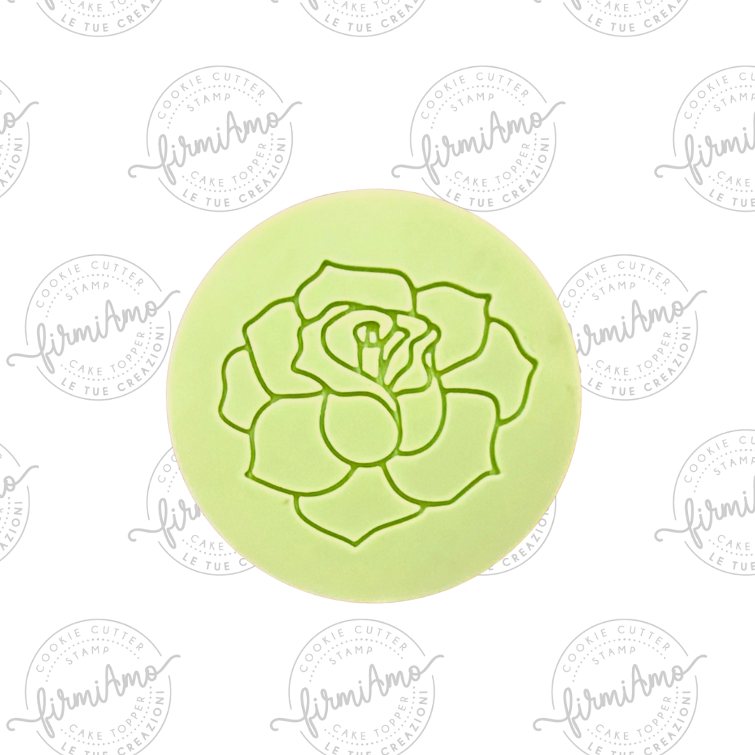 Rosa R